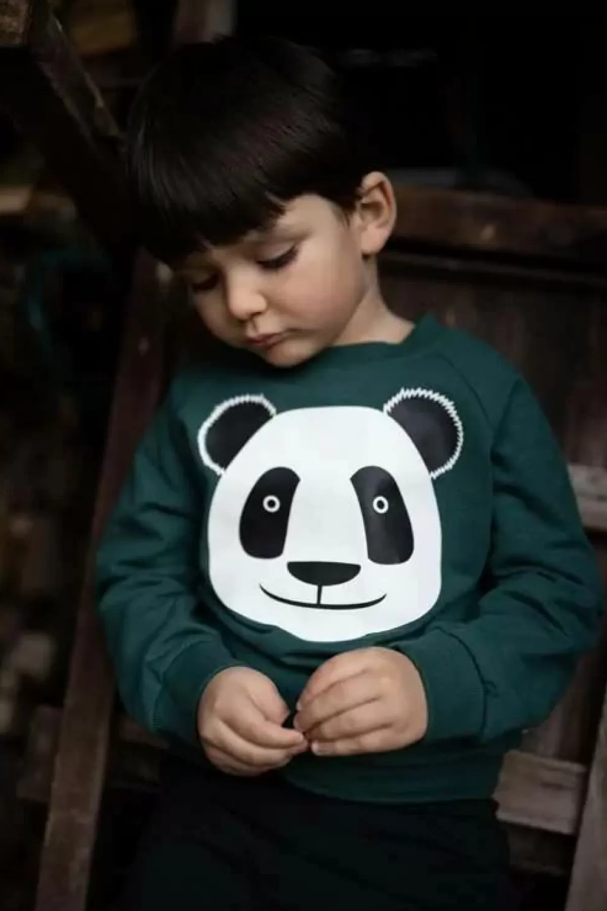 Felpa con Cappuccio Grigio Animaletti Bambini - Design Esclusivo Panda e Anatra Danefæ