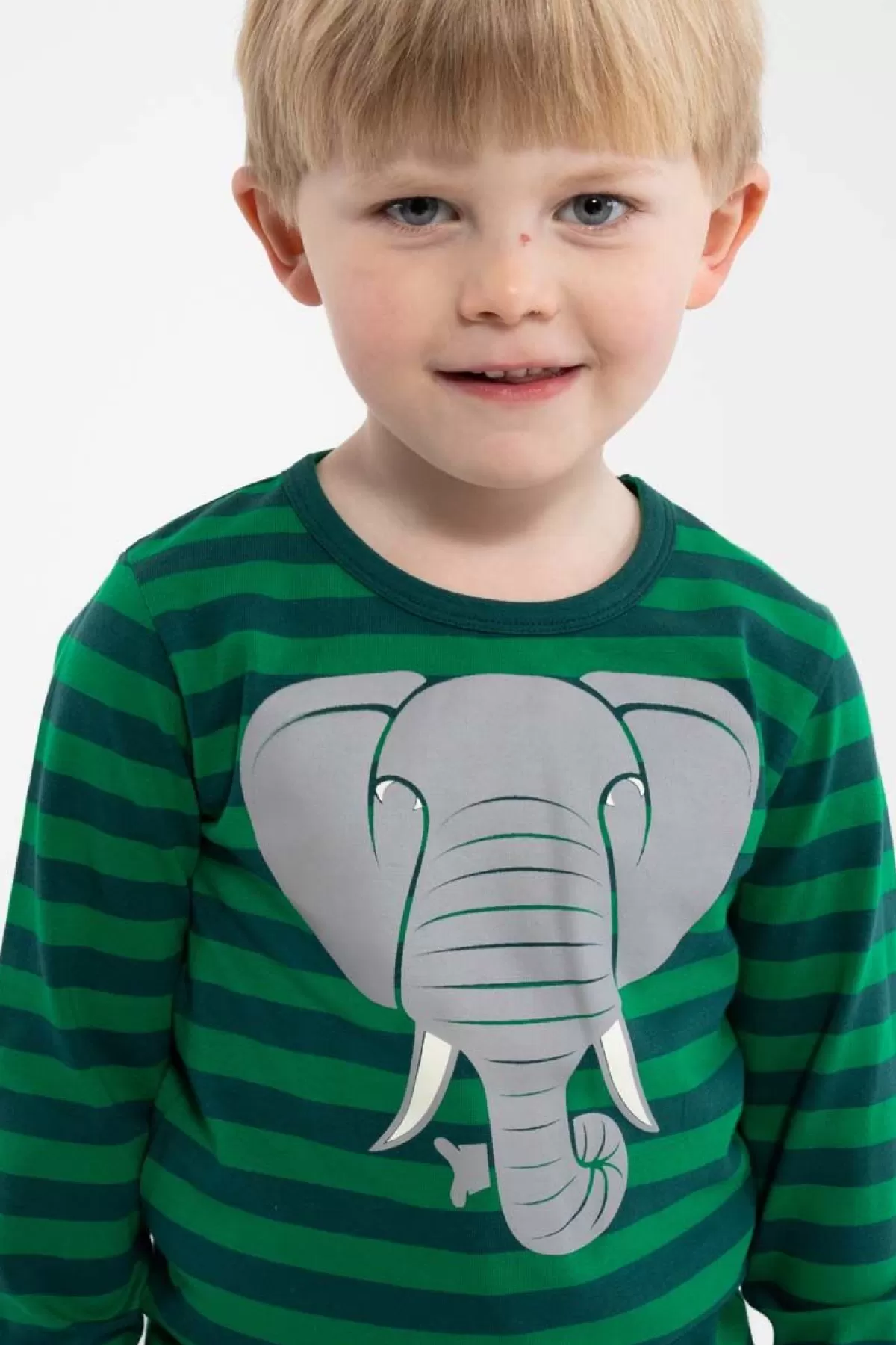 Danefæ T-Shirt Dyrroar Fantasia Completa/Strisce - Verde Anatra Scuro con Motivo Elefante - Nuova Collezione