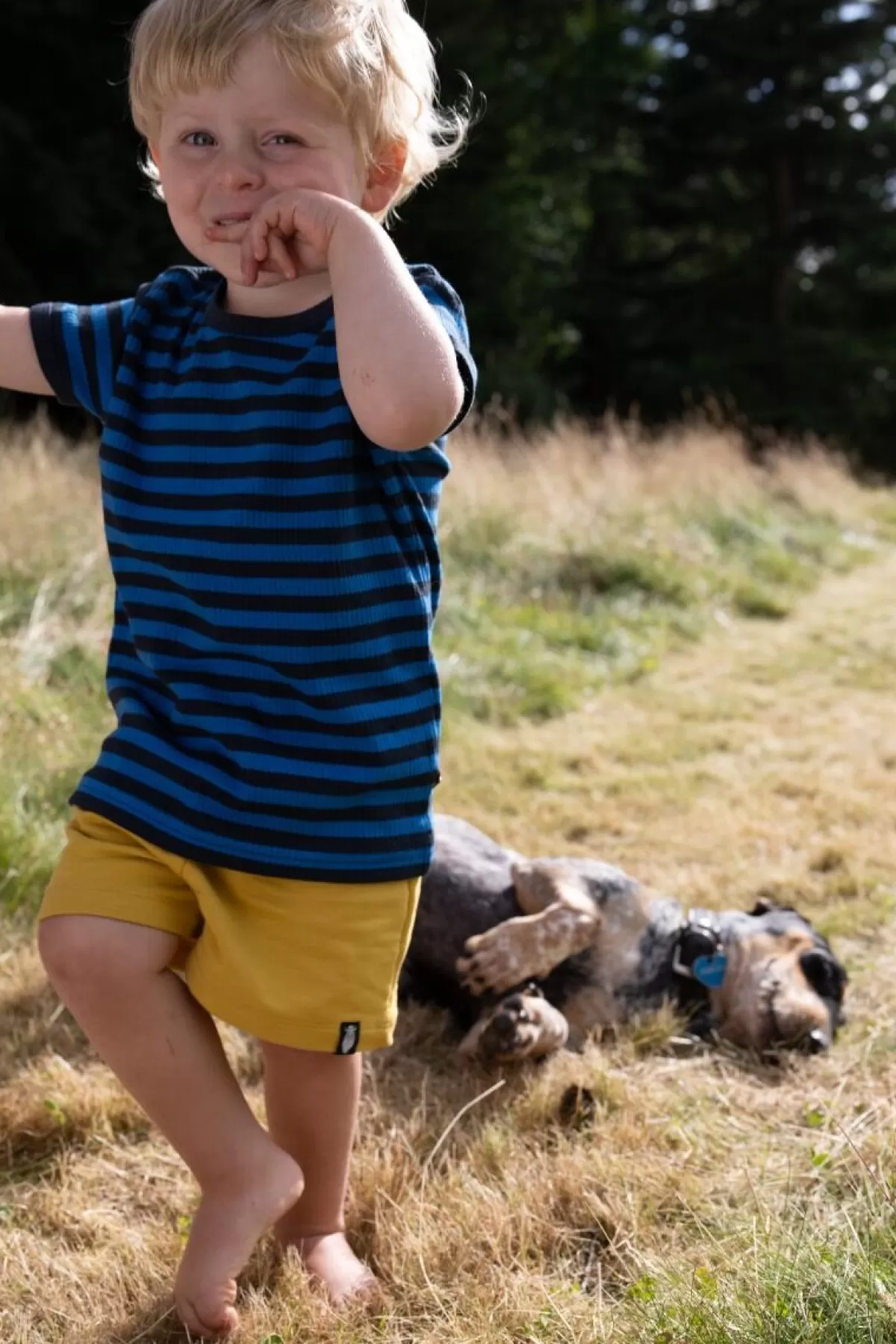 Offerta Lampo Danefæ Ess: Shorts Estivi Giallo Crema - Edizione Festiva Limitata!